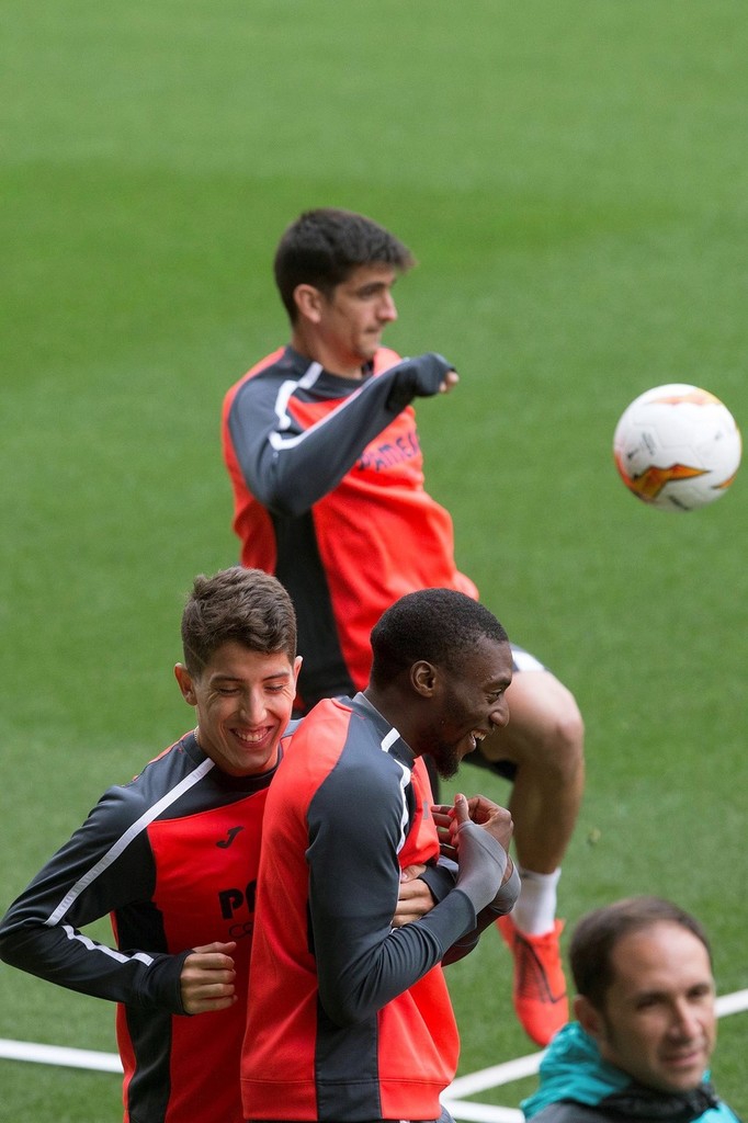  法兰克福美女球迷 